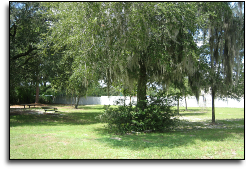 Park Equipment