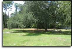 Park Equipment