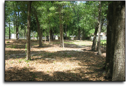 Park Equipment